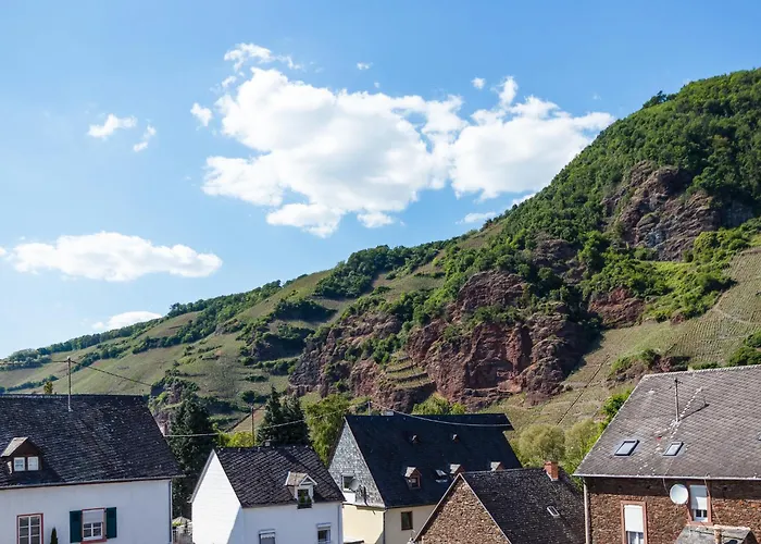 شقة Schwaab-scherr, Genau Zwischen Bernkastel-kues Und Traben-trarbach, Mit Kostenlosem Oepnv-ticket Fuer Bus Und Bahn, Parkplaetzen Und Fahrradgarage *